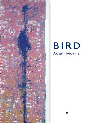 cover image of Bird